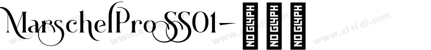 MarschelPro SS01字体转换